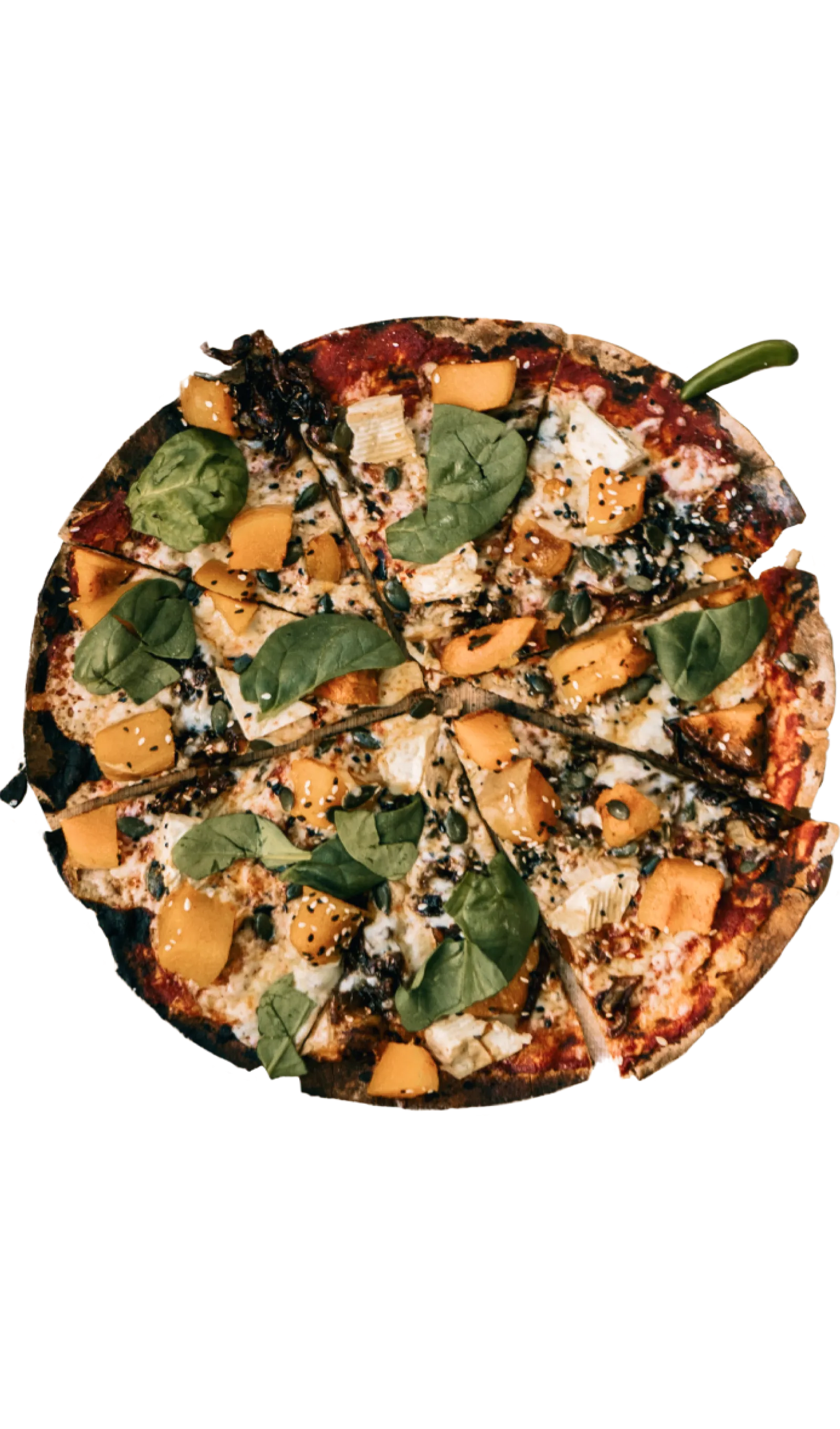Special Pizza with smoked cheese and vegetable as toppings
